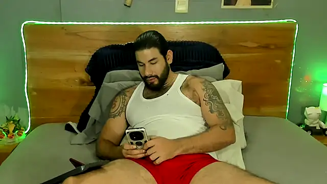 Prometeo-grizzly webcam