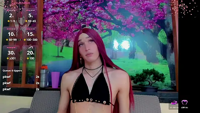 britanny_noroeste webcam