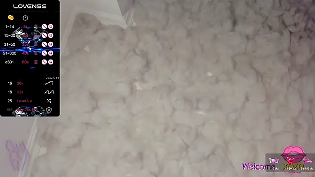 pamela_dimantis_ webcam