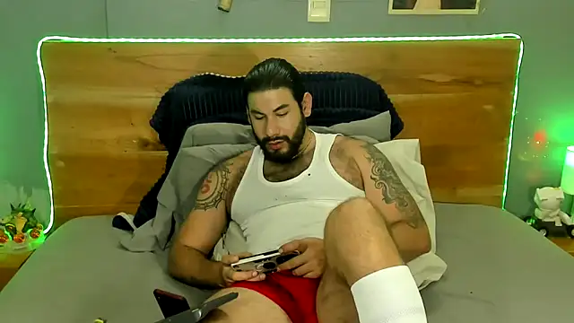 Prometeo-grizzly webcam