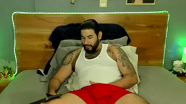 Prometeo-grizzly webcam