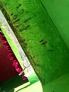 Riyakumari_hot66 webcam