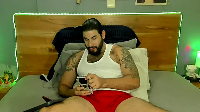 Prometeo-grizzly webcam