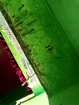 Riyakumari_hot66 webcam