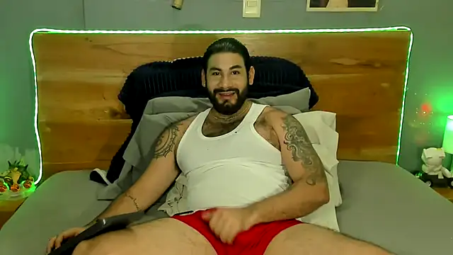 Prometeo-grizzly webcam