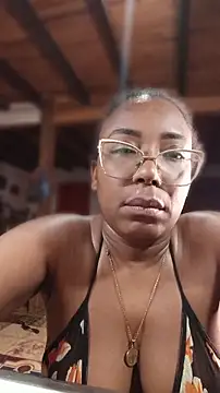 ChanneldelaCroix webcam