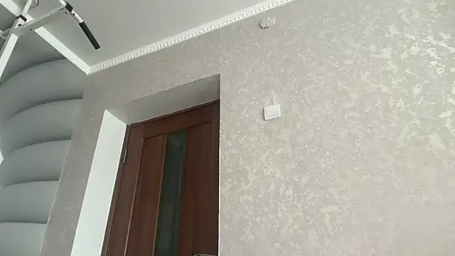 tomasdickpick webcam