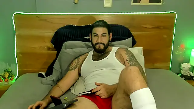 Prometeo-grizzly webcam