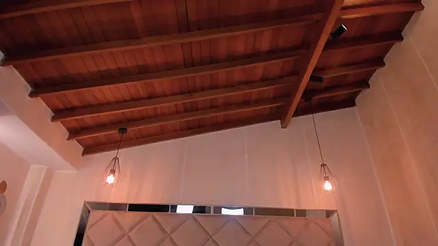 SophieHouston_ webcam