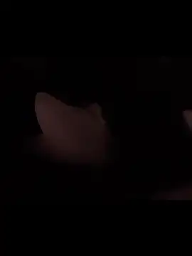 Preview of cushington