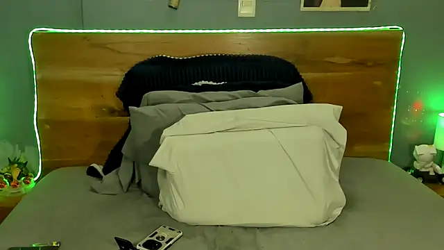 Prometeo-grizzly webcam