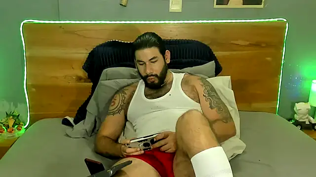 Prometeo-grizzly webcam