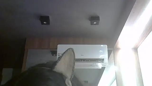 SkinnyKitten webcam