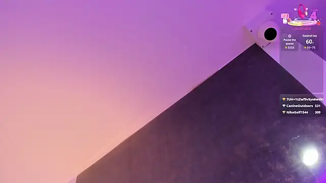 catalina_spec webcam