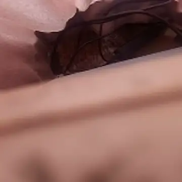 FernandaMartynelyh webcam