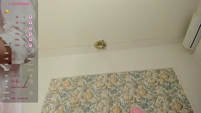 illegal_lorry webcam