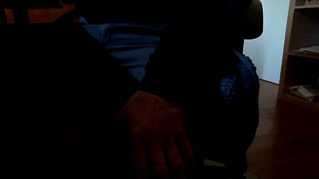 leccaleccafiga webcam