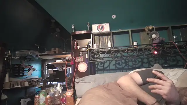 charactrzero Live Webcam on Stripchat