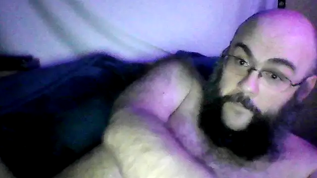BriTheTopBear webcam