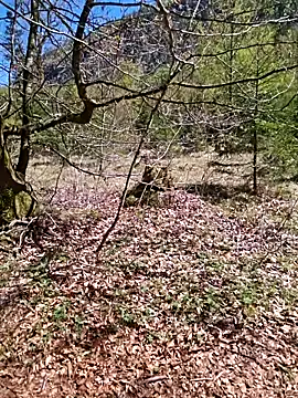 Sexy_Sparkling_ webcam