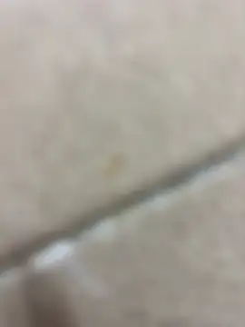 zxcvgf12300 (M young) - Masturbation in washroom