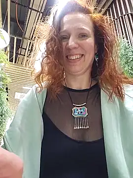 Exhibitionsplit webcam