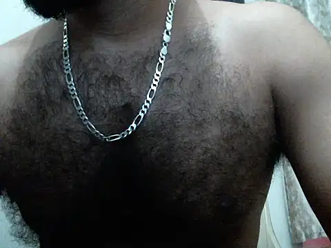 indianhairybull webcam