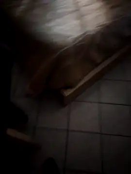 BarringHandling webcam