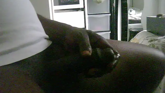 steven_mar43684 webcam