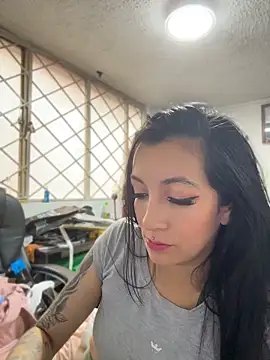 SALOME_KORLAND webcam