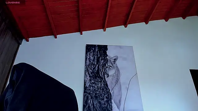 Santos_ramirez1 webcam