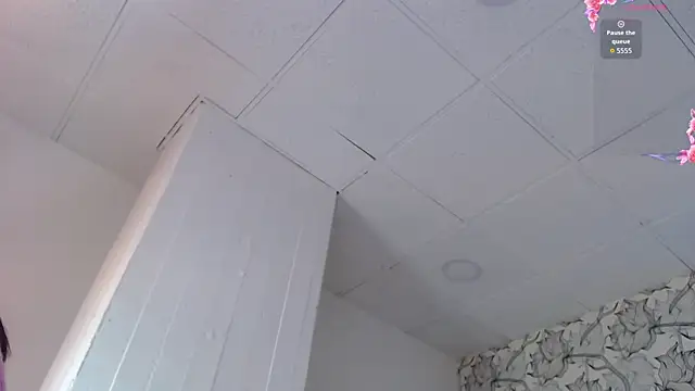 Venusandrea29 webcam