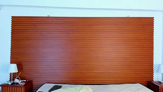 peakk_twiinns webcam