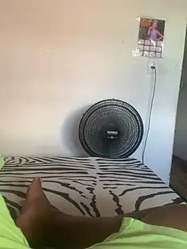 GordoSafadinho webcam