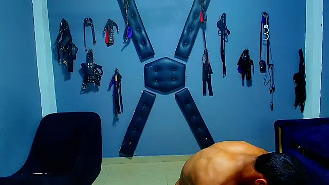 Adonis_artemis webcam