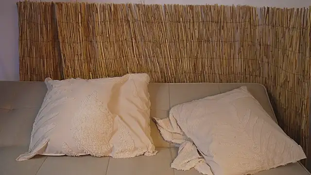 bunnycuteshy live sex cam