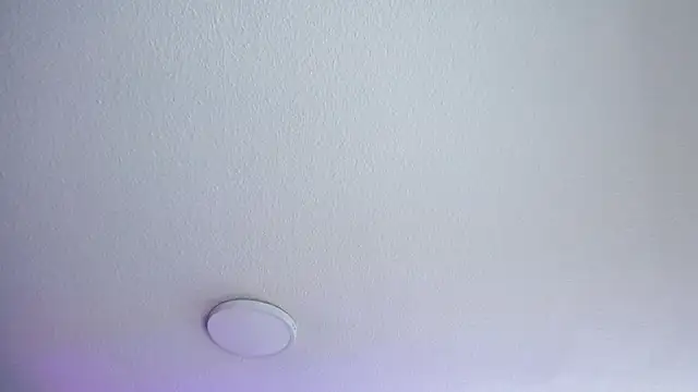 _Charlotte_Collins_ webcam