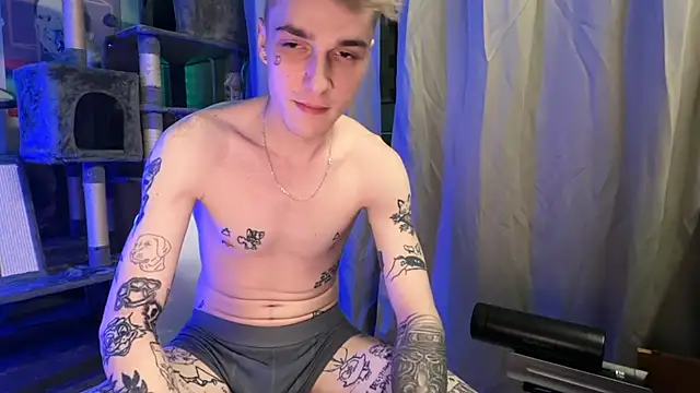 davesinner webcam