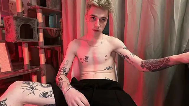 davesinner webcam