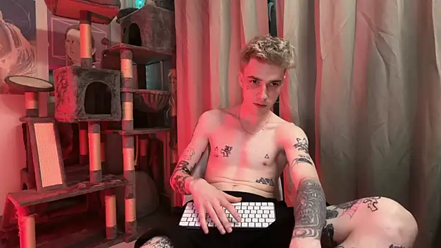 davesinner webcam
