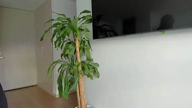 charlotte_tiller webcam