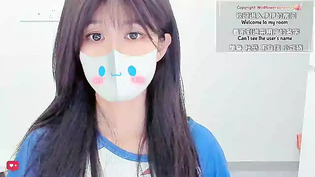 Wildflowersoneone webcam