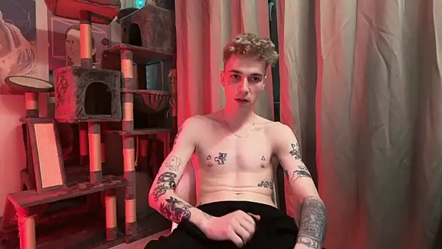 davesinner webcam