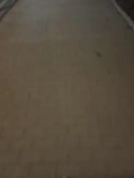 PublicMarekFlashDick webcam