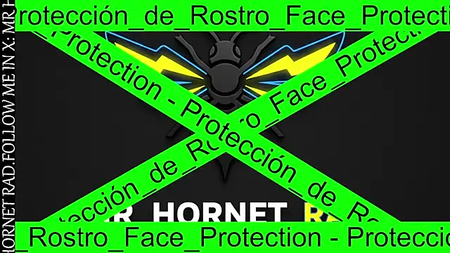 Mr_Hornet_Rad webcam