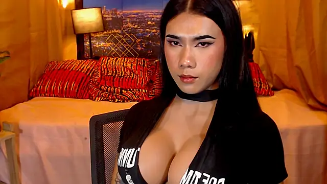 TRANSPORNIDOL webcam