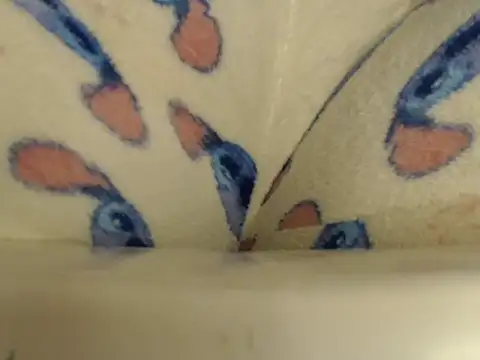 Litzy_extremedarks webcam