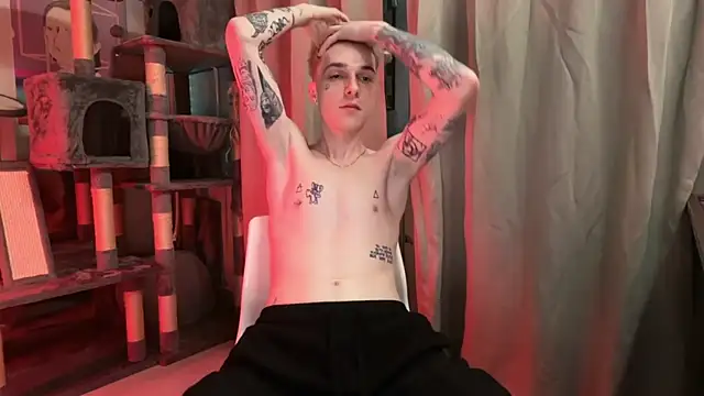 davesinner webcam