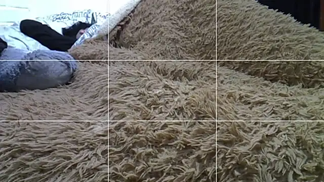 Preview of feeelipe2007