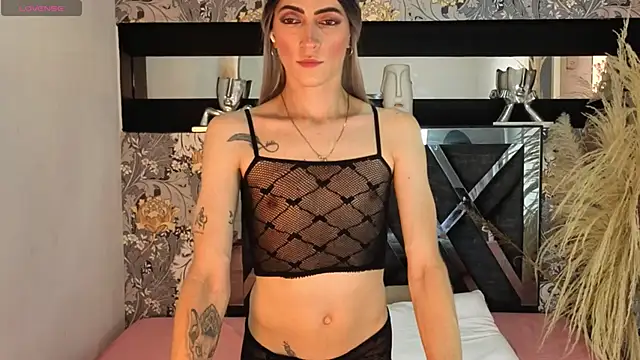 dominic_thailor webcam